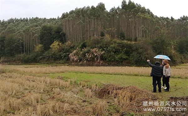 双鸭山市陈老师带着爱徒寻龙点穴